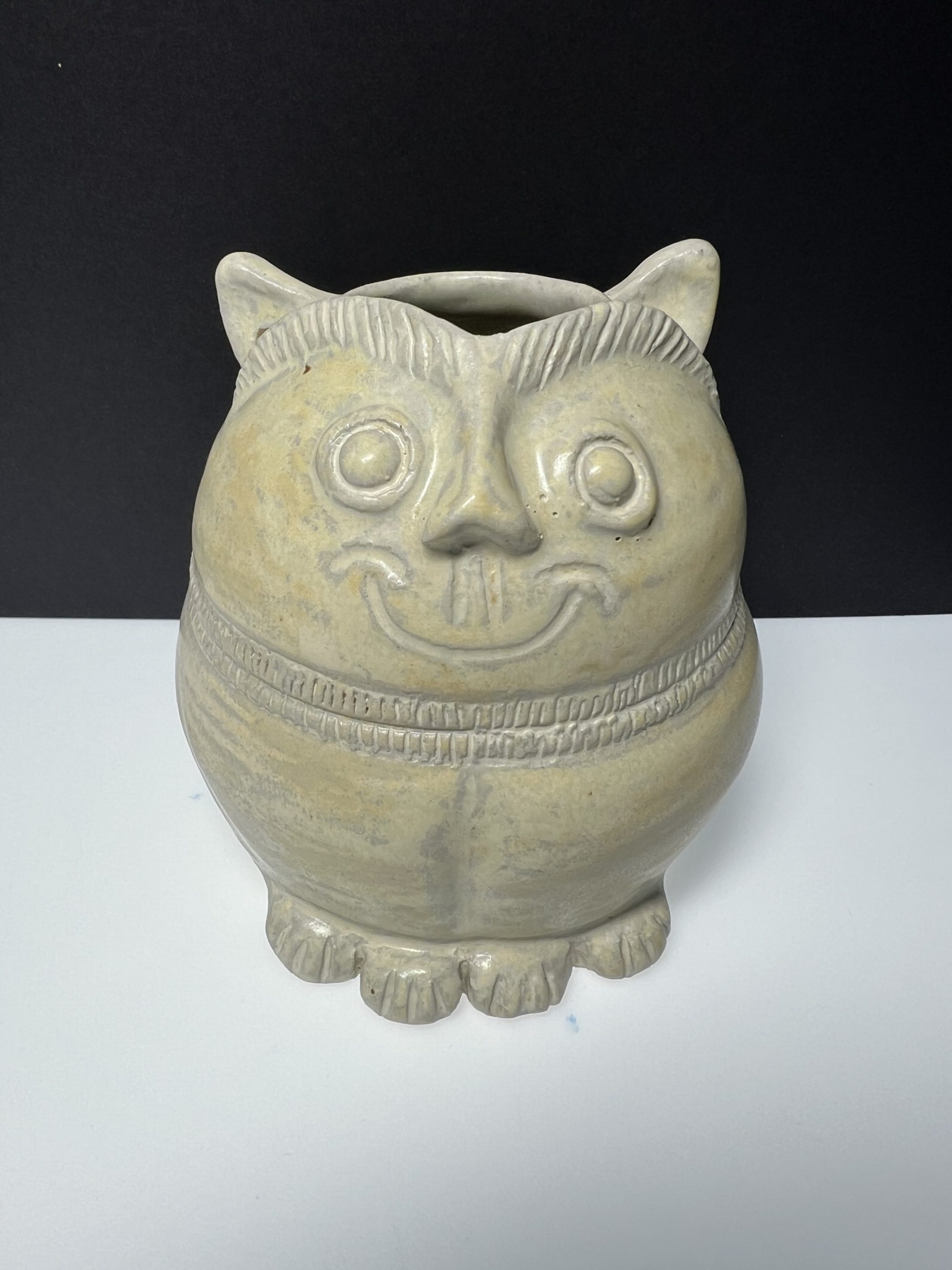 lime pot cat